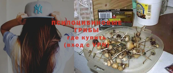 герыч Алзамай